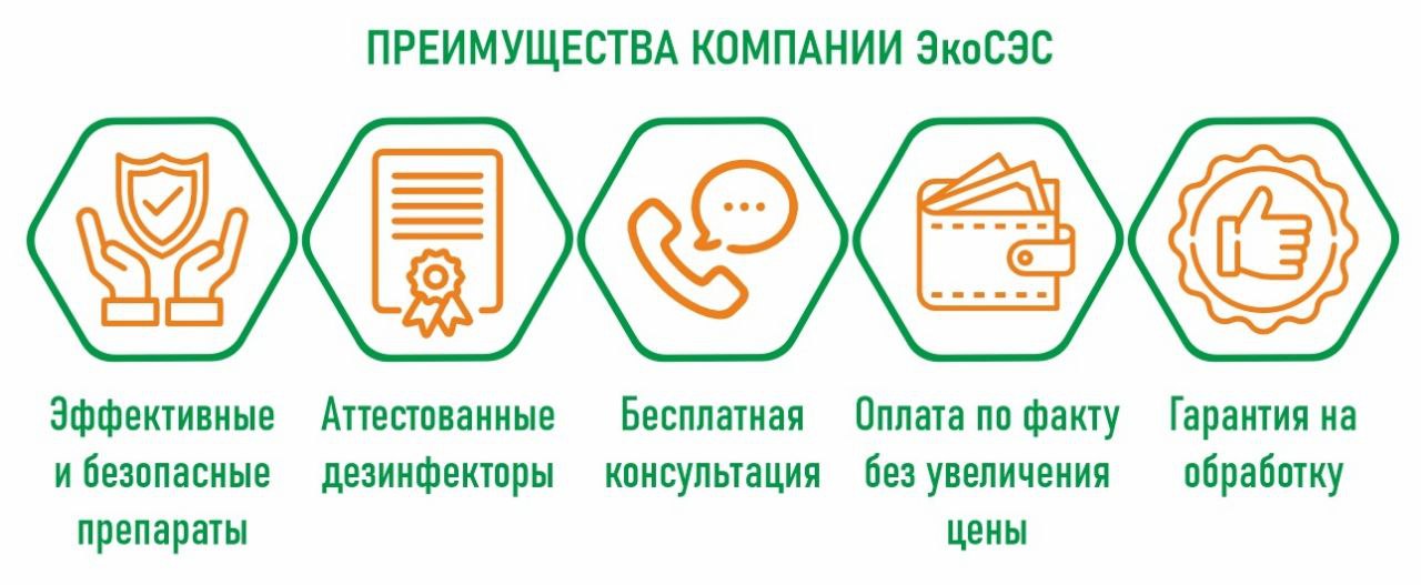 заказать обработку